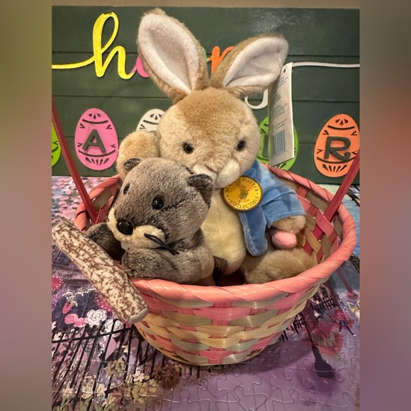 WOW!PRICE Drop Beatrix Potter Peter Rabbit Fully Jointed/METAL buttons 11.5" - Picture 3 of 14